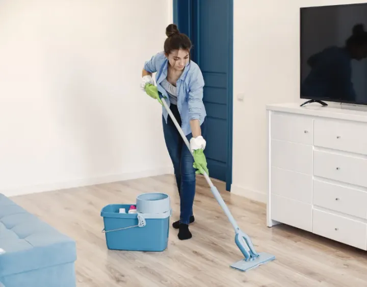 Femme de ménage La Bauche